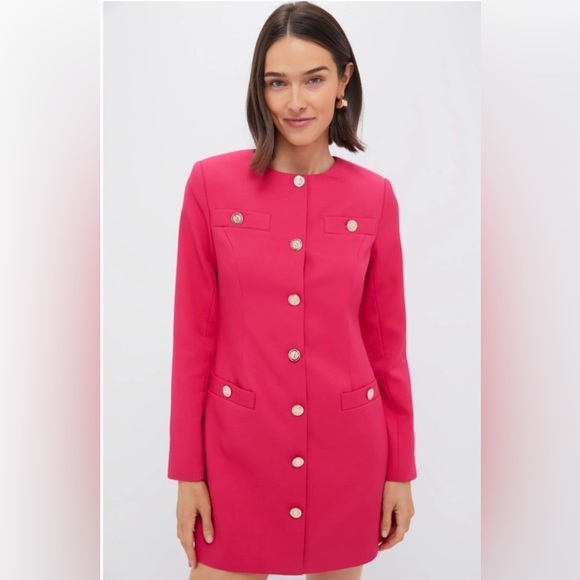 Tuckernuck Dresses & Skirts - Tuckernuck Hyacinth House Strawberry Veronica Mini Dress XS NWT